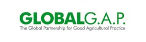 Gloabal G.A.P. Logo